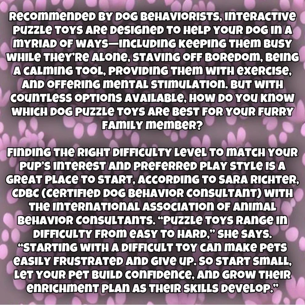 Dog Puzzle Paw Print Pet Toy, Hide & Seek the Treats Game, Puppy Cat Guinea Pig
